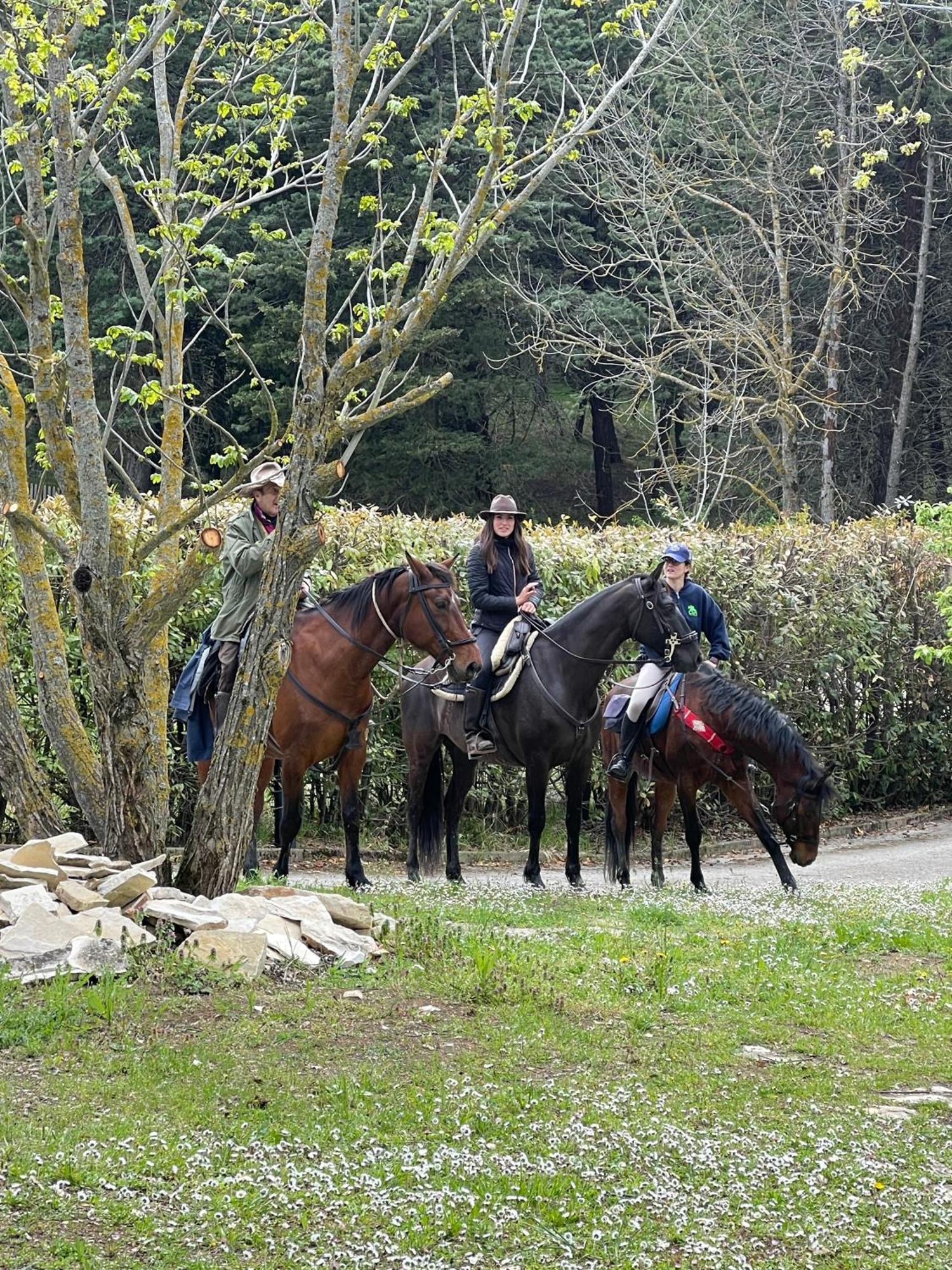B&B Il Sentiero Dei Goti Monte Grimano Terme Extérieur photo